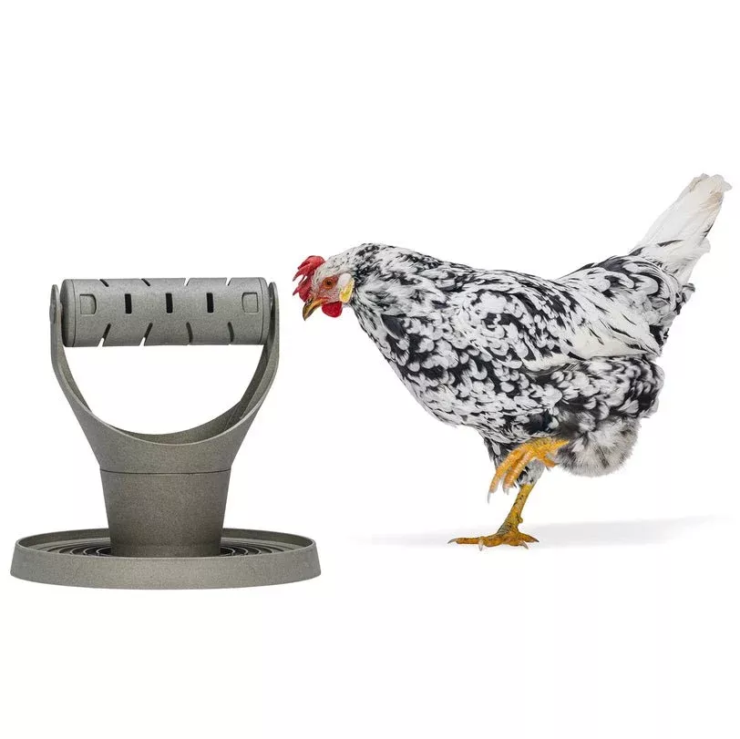Backyard Chicken Feed Tower – Promotes Exercise and Mental Stimulation