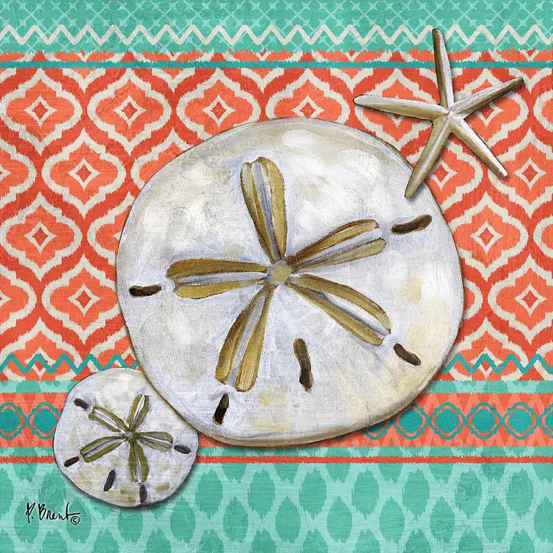 The Collection Designs – Santa Cruz Shells II Aqua
