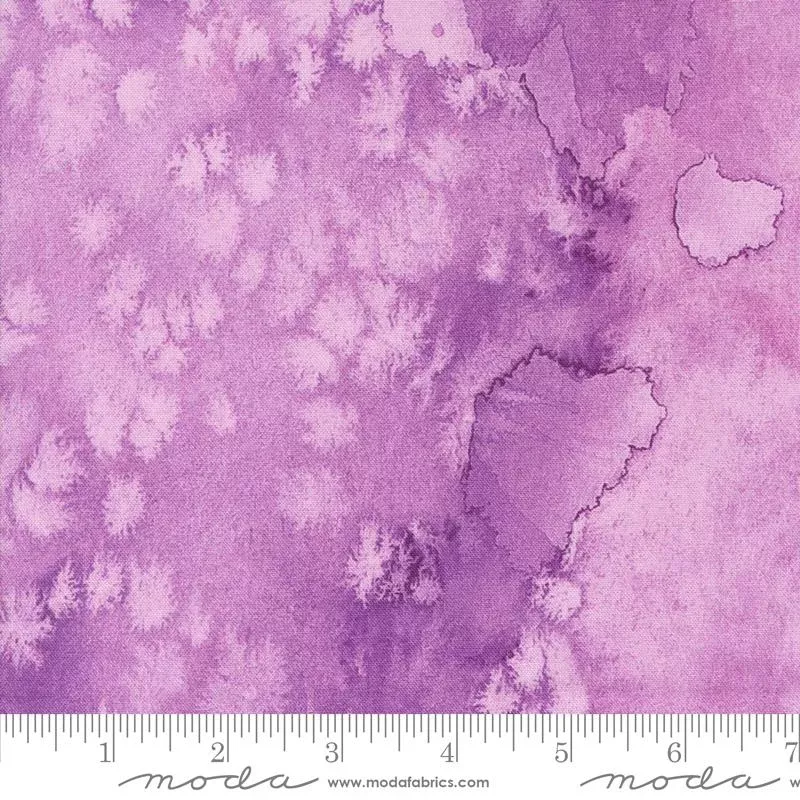 Coming Up Roses Wisteria