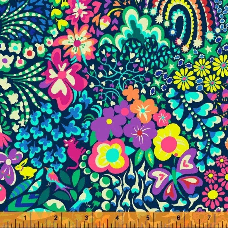 Hide and Seek WIDE – Multi