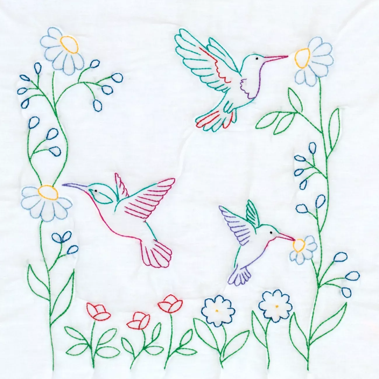 Hummingbirds 18