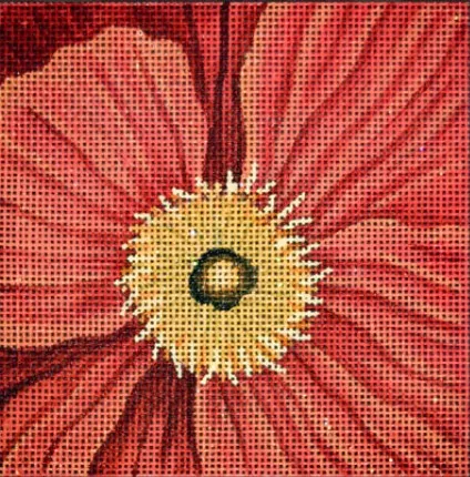 JP Needlepoint – Orange Poppy