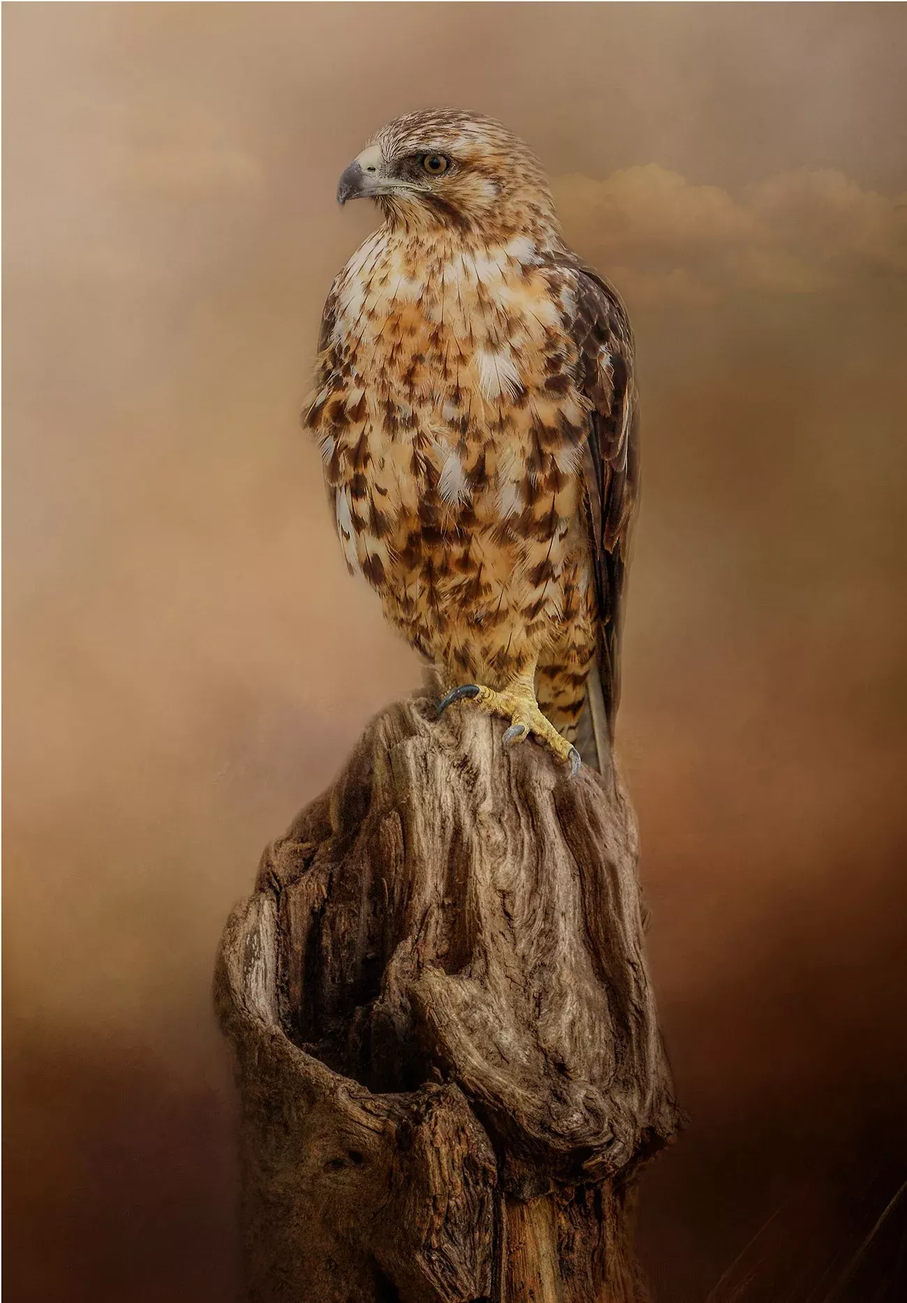 Looking for Dinner 14x20in Panel